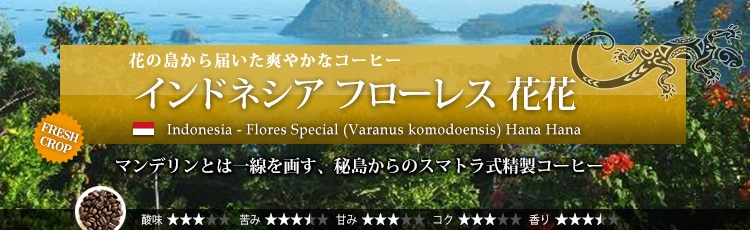 インドネシア フローレス 花花 - Indonesia Flores Special (Varanus komodoensis) Hana Hana