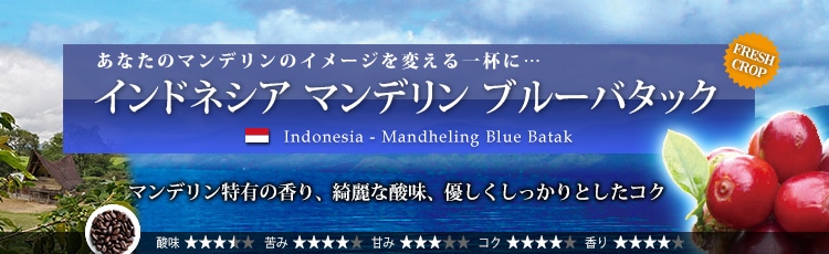 インドネシア マンデリン ブルーバタック - Indonesia Mandheling Blue Batak