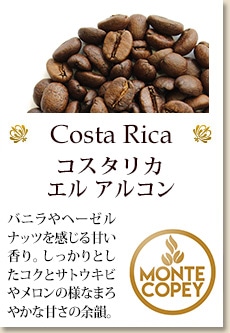 コスタリカ エル アルコン