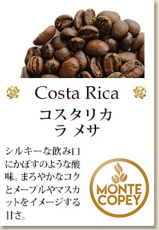 コスタリカ エル アルコン