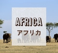 アフリカ